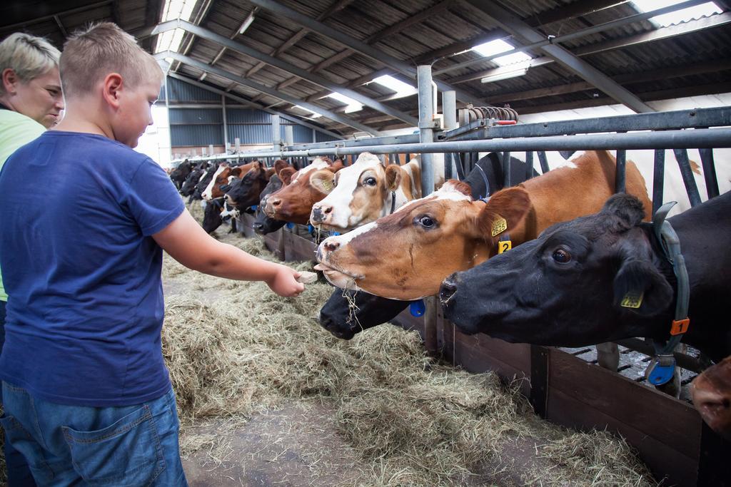 Farm Overleekerhoeve Monnickendam Exteriör bild