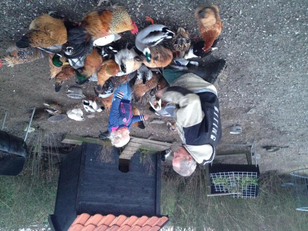 Farm Overleekerhoeve Monnickendam Exteriör bild